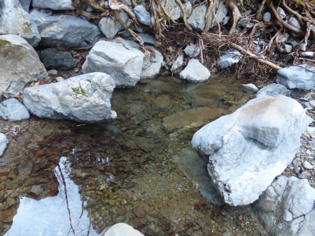 f0357487_21105032.jpg