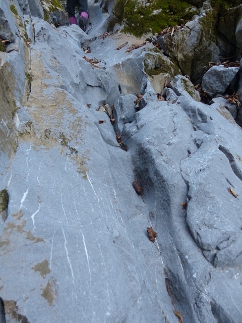 f0357487_22385100.jpg