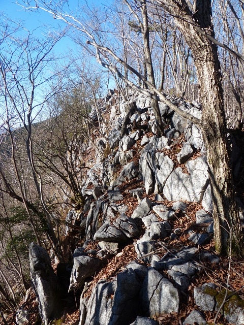 f0357487_22464962.jpg