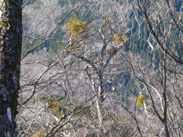 f0357487_2257548.jpg
