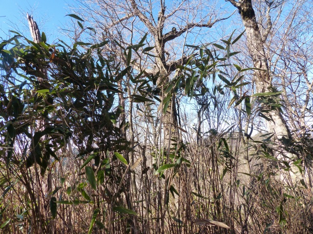 f0357487_22595877.jpg