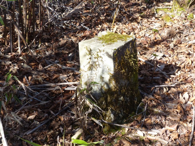 f0357487_2315810.jpg