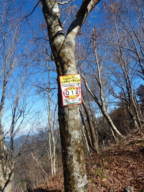 f0357487_2363238.jpg