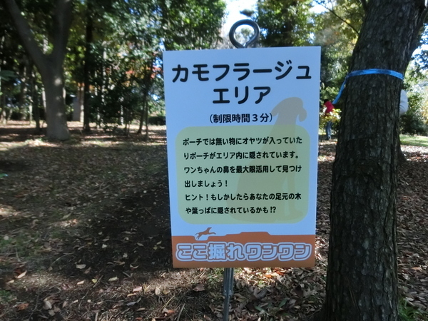 d0098295_17320152.jpg