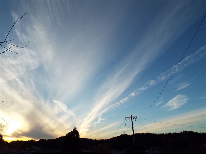 c0108198_1657494.jpg