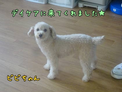 a0338800_21022941.jpg