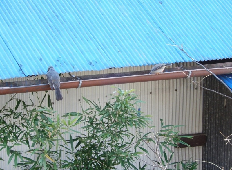 e0025300_2256026.jpg
