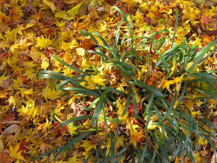 f0224100_13425466.jpg