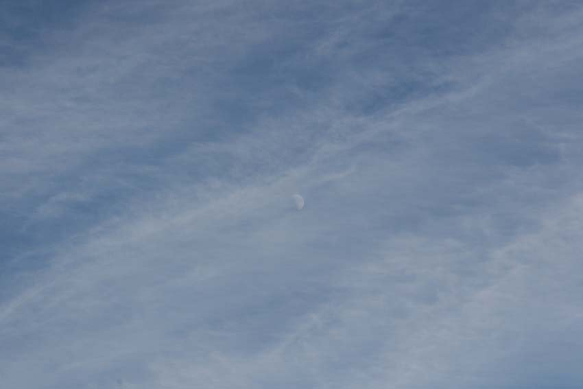 f0014205_1022227.jpg