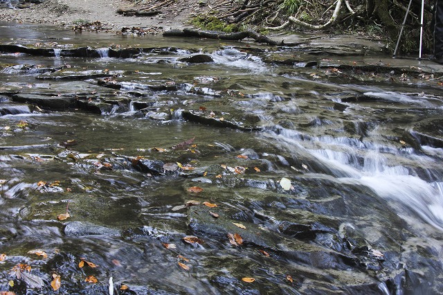 e0121110_19583144.jpg