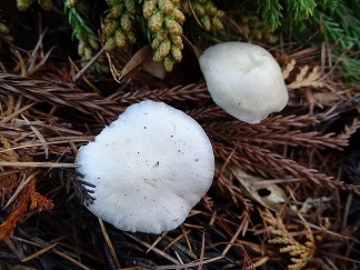 f0360815_14272813.jpg