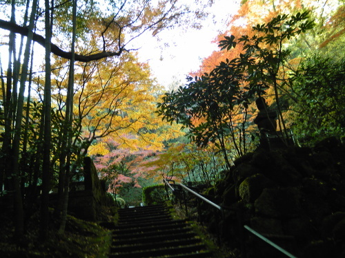 b0285619_19130072.jpg