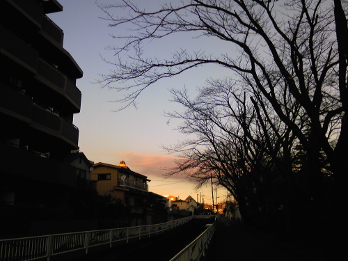 b0285619_19141315.jpg