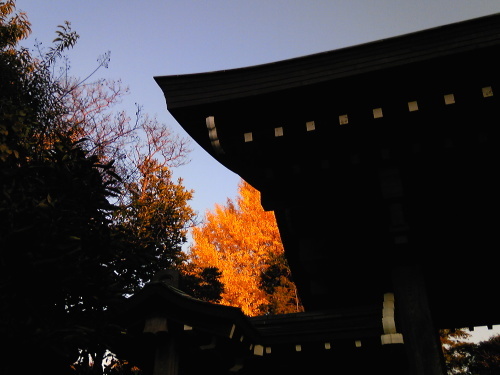 b0285619_19342772.jpg
