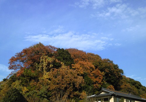 b0285619_19501454.jpg