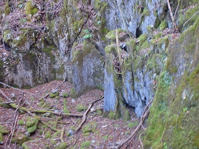 f0193521_7115931.jpg