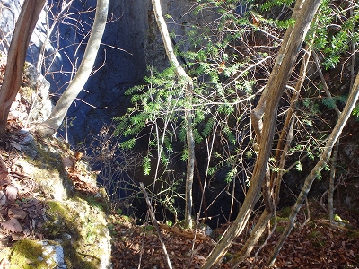 f0193521_7161566.jpg