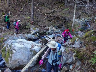 f0193521_742347.jpg