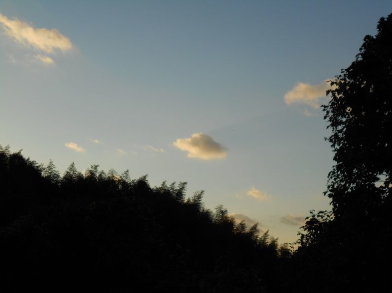 f0088731_23425465.jpg
