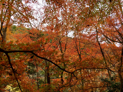 f0114938_08240917.jpg