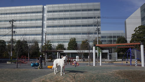 a0117039_2358482.jpg