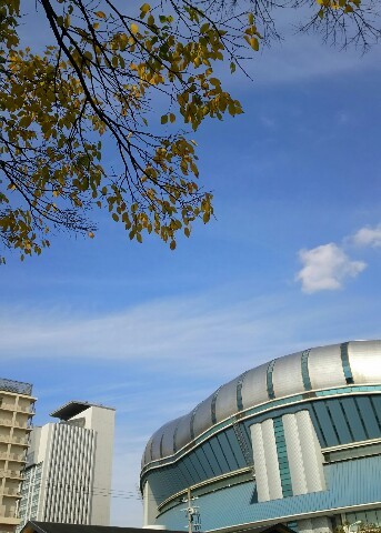c0292342_11024128.jpg