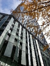 f0073848_21325943.jpg