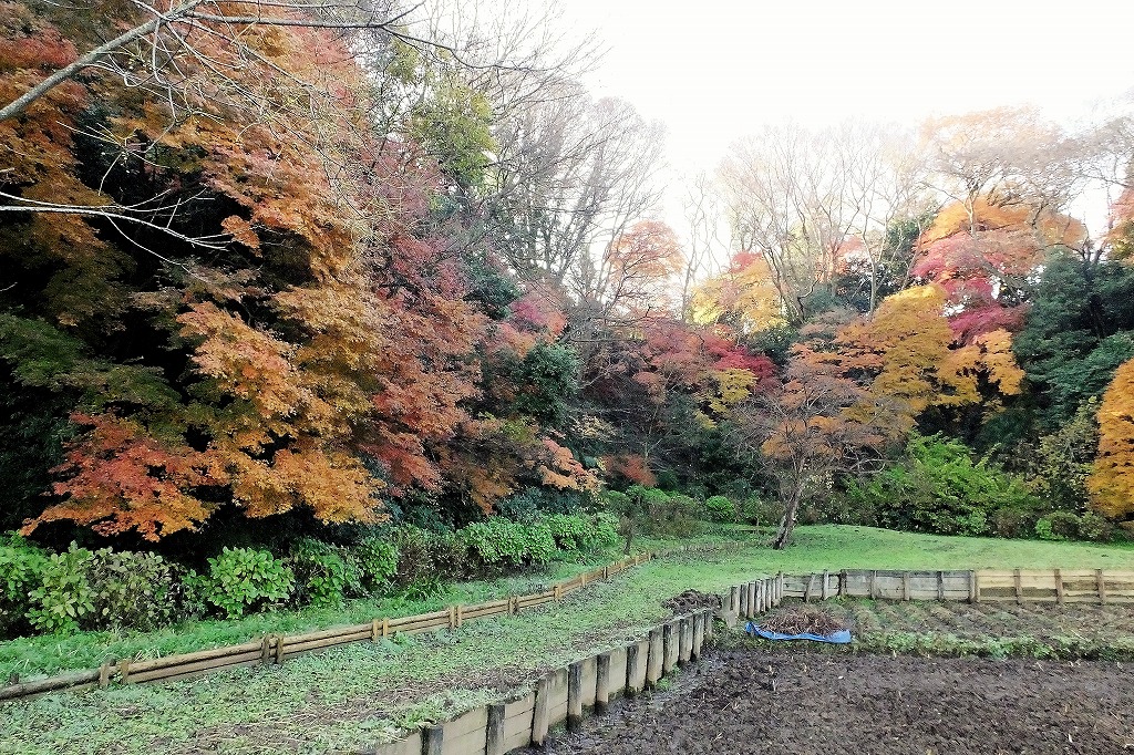 b0236251_14134552.jpg