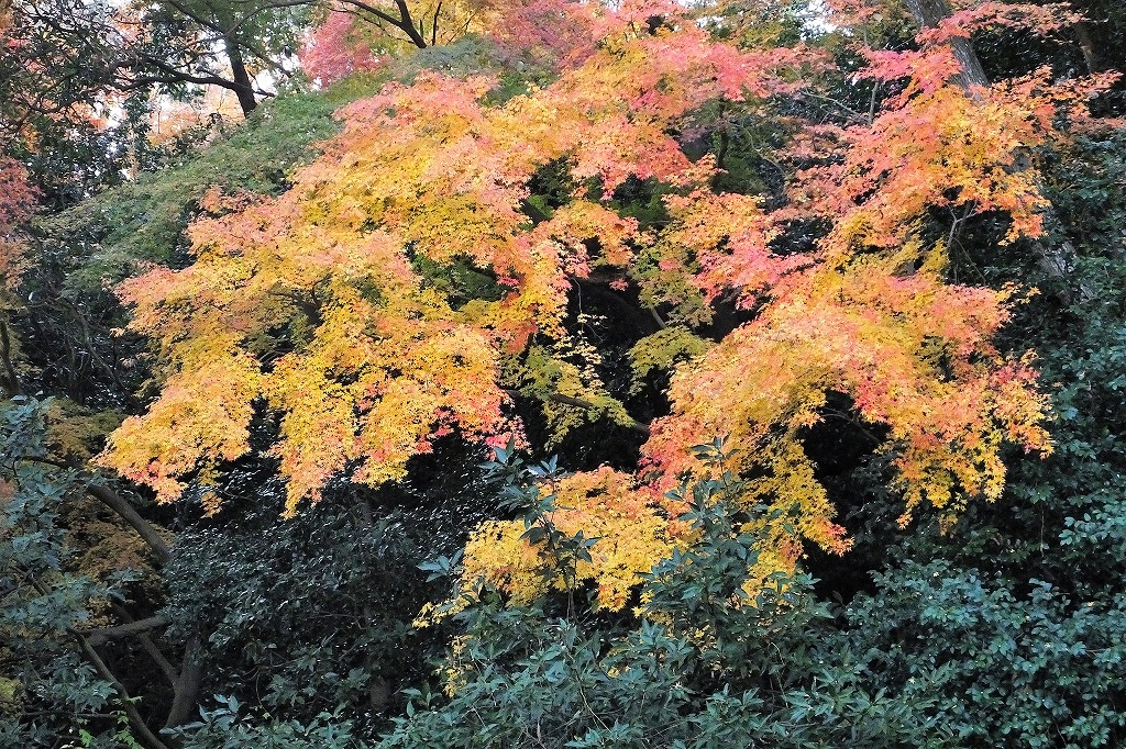 b0236251_1414228.jpg