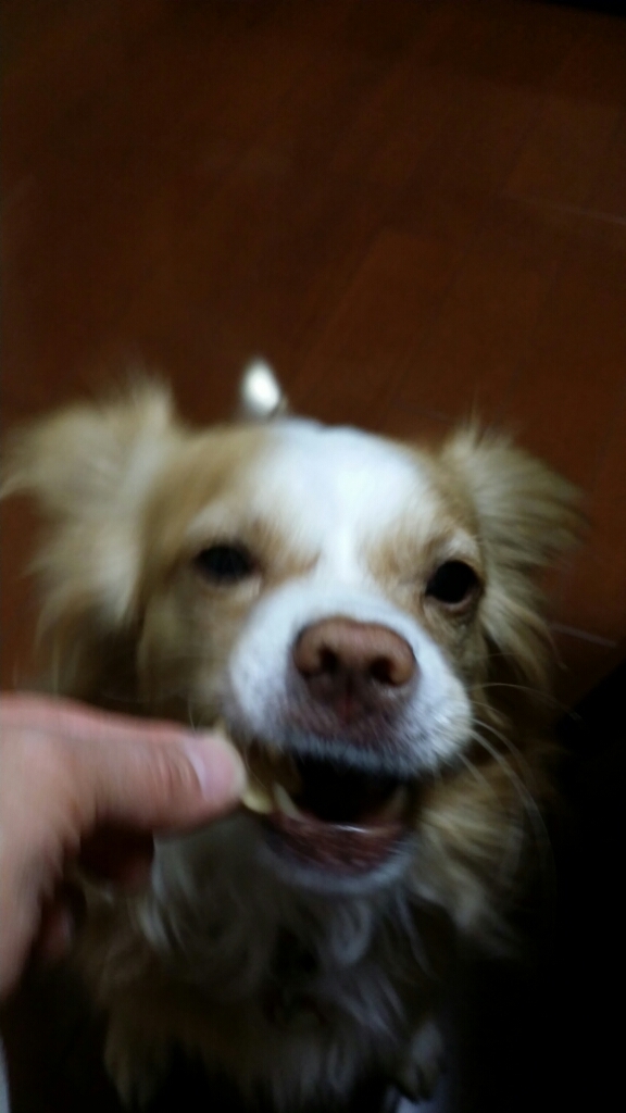 f0046854_21442063.jpg