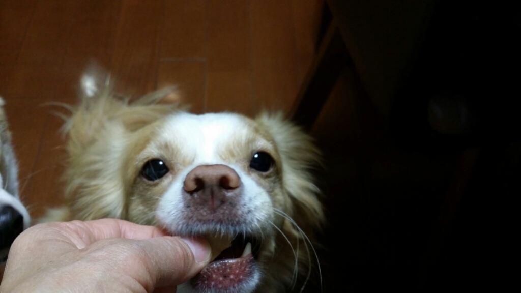 f0046854_21442147.jpg