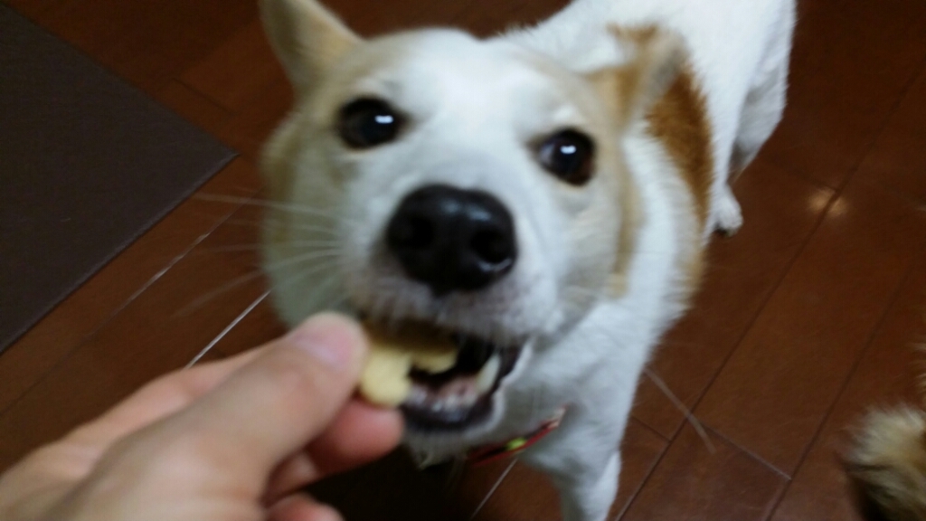f0046854_21442899.jpg