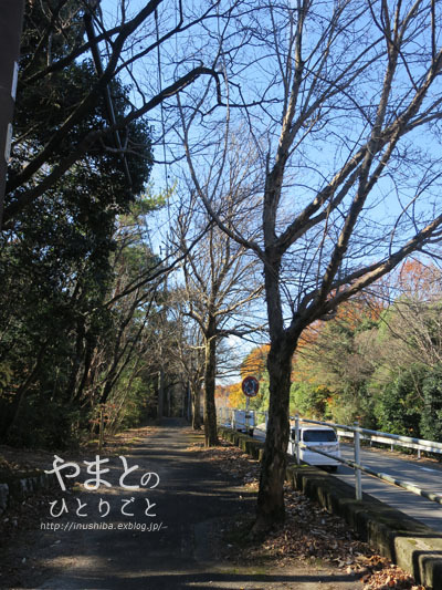 a0286855_06383406.jpg
