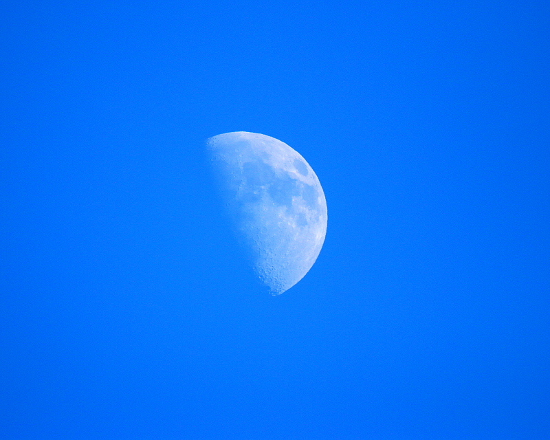 c0305565_18460006.jpg