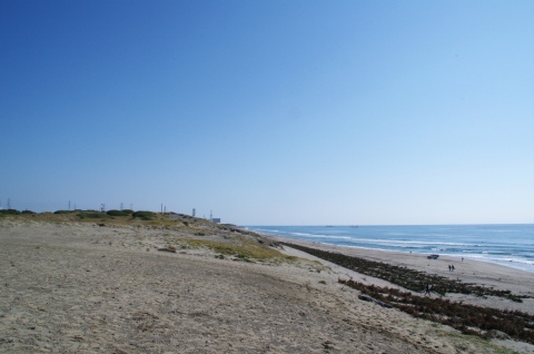 e0045768_2225379.jpg