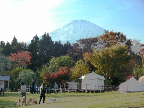 e0045768_22372950.jpg