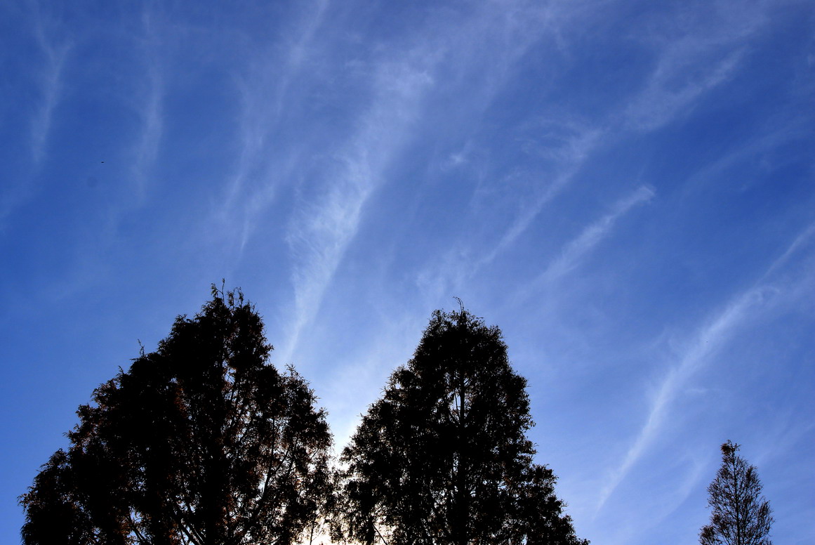 b0093678_19103131.jpg