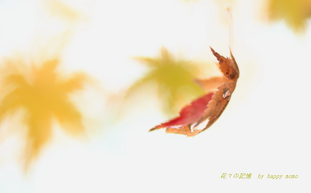 c0357781_10394727.jpg