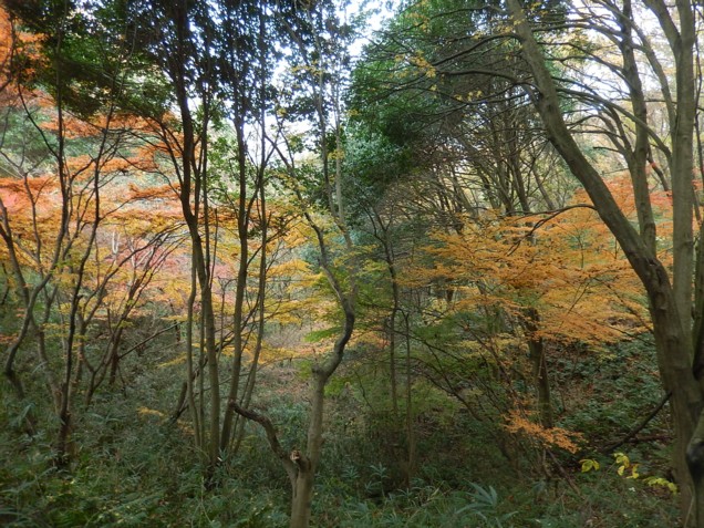 c0144185_1359094.jpg
