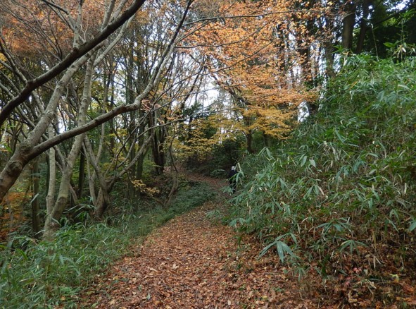 c0144185_13594588.jpg