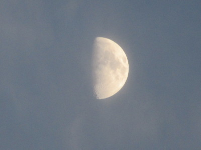 b0209886_10564026.jpg