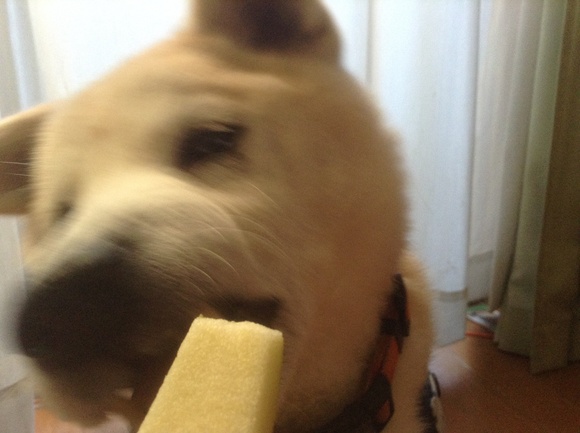c0123890_1684318.jpg