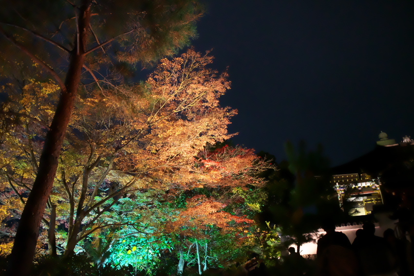 a0263109_20080509.jpg
