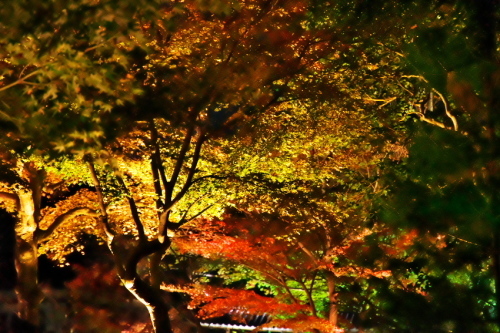 a0263109_20090540.jpg