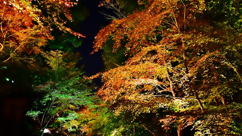 a0263109_20090796.jpg