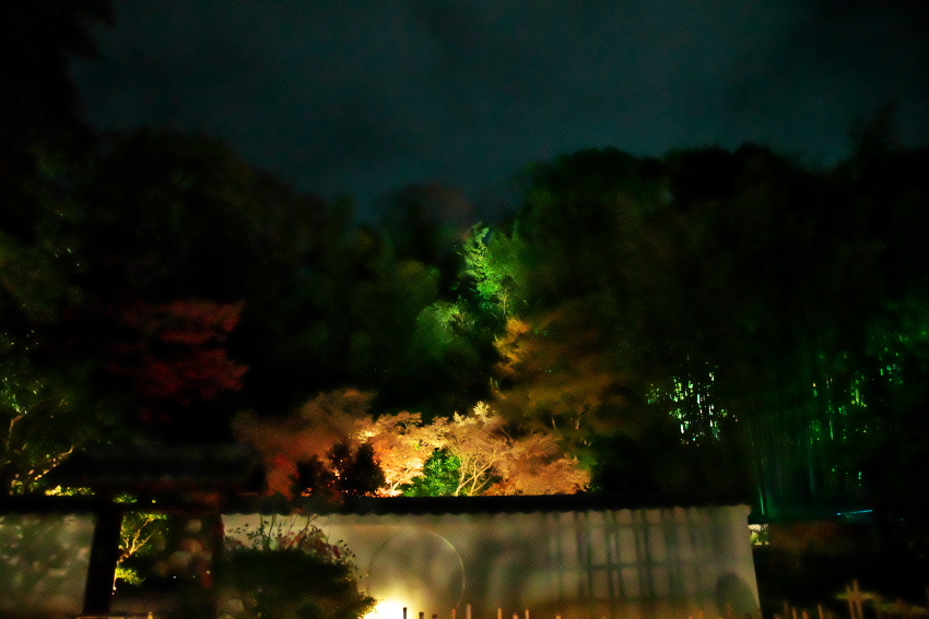a0263109_20090989.jpg