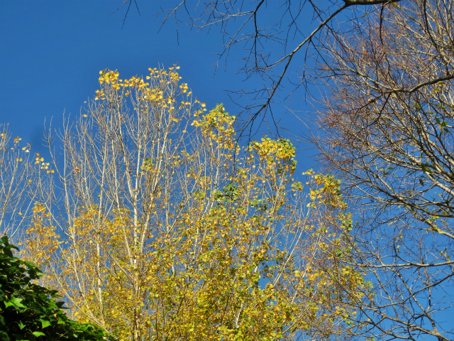 b0064411_17273676.jpg