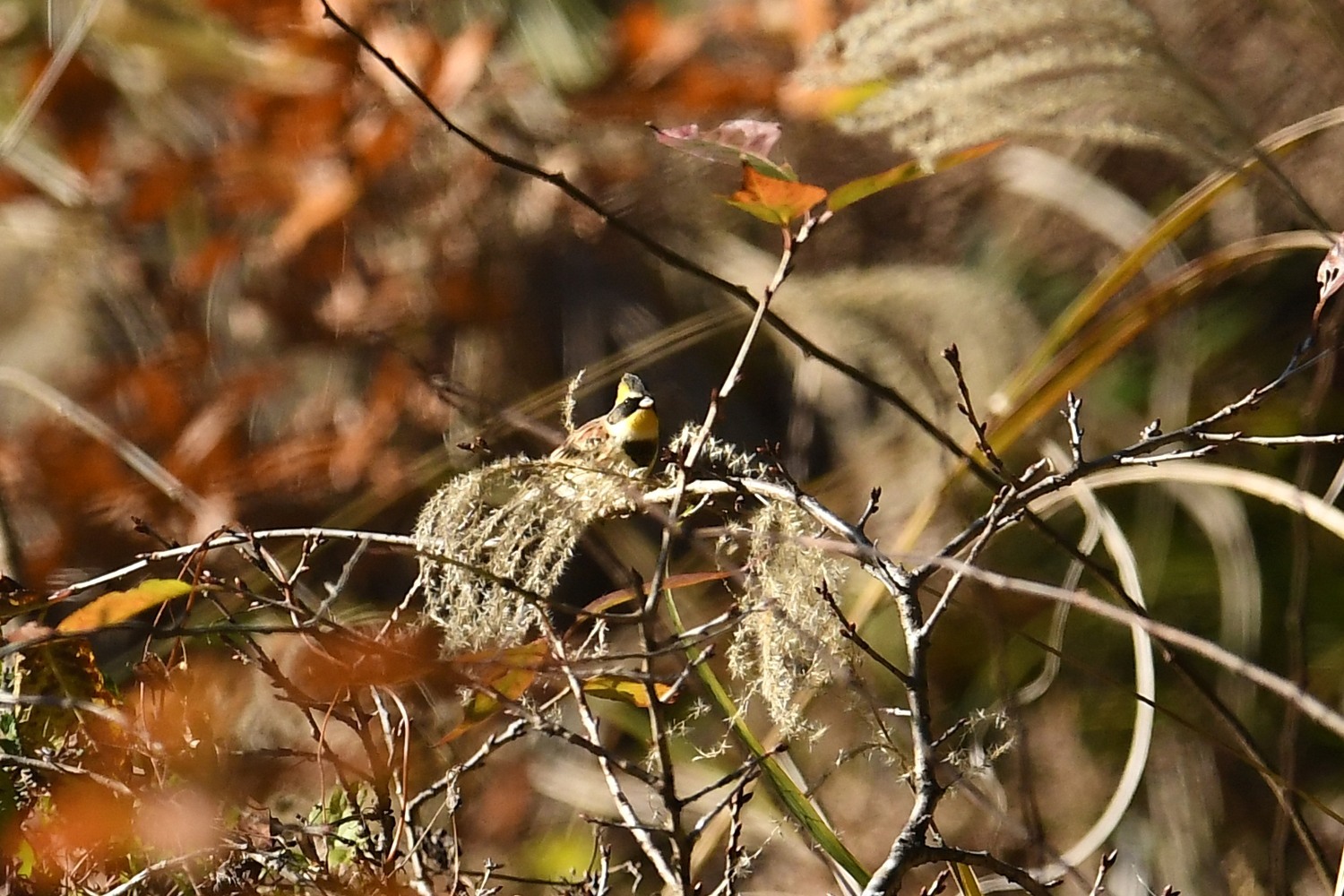 f0133213_23132839.jpg