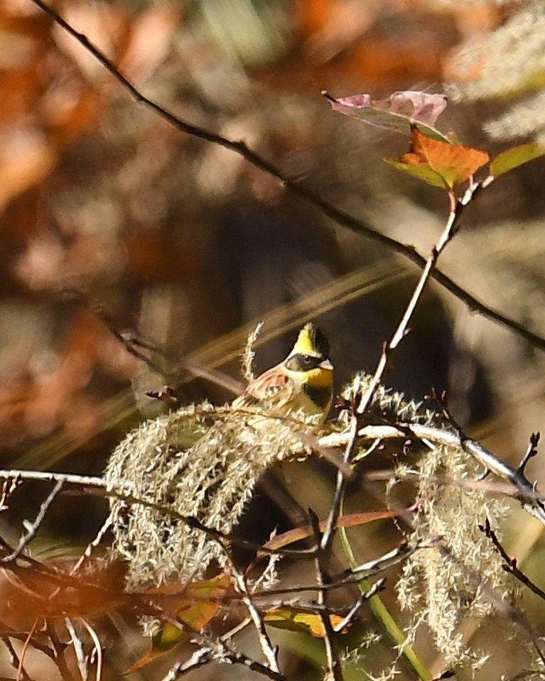 f0133213_23154596.jpg