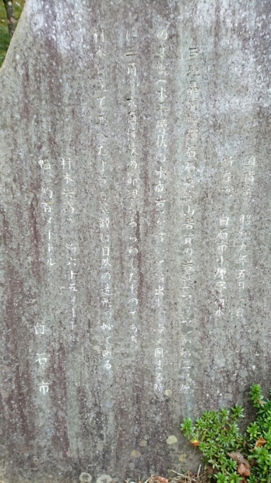 f0182618_10402065.jpg
